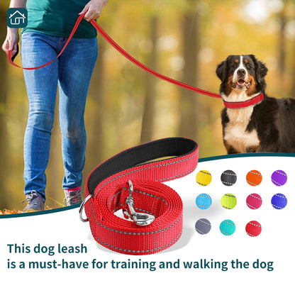 Reversible Reflective Dog Leash 5FT, Nylon Leash with Padded Handle for Walking, Training Leads for Medium, and Large Dogs, Available in Multiple Colors.