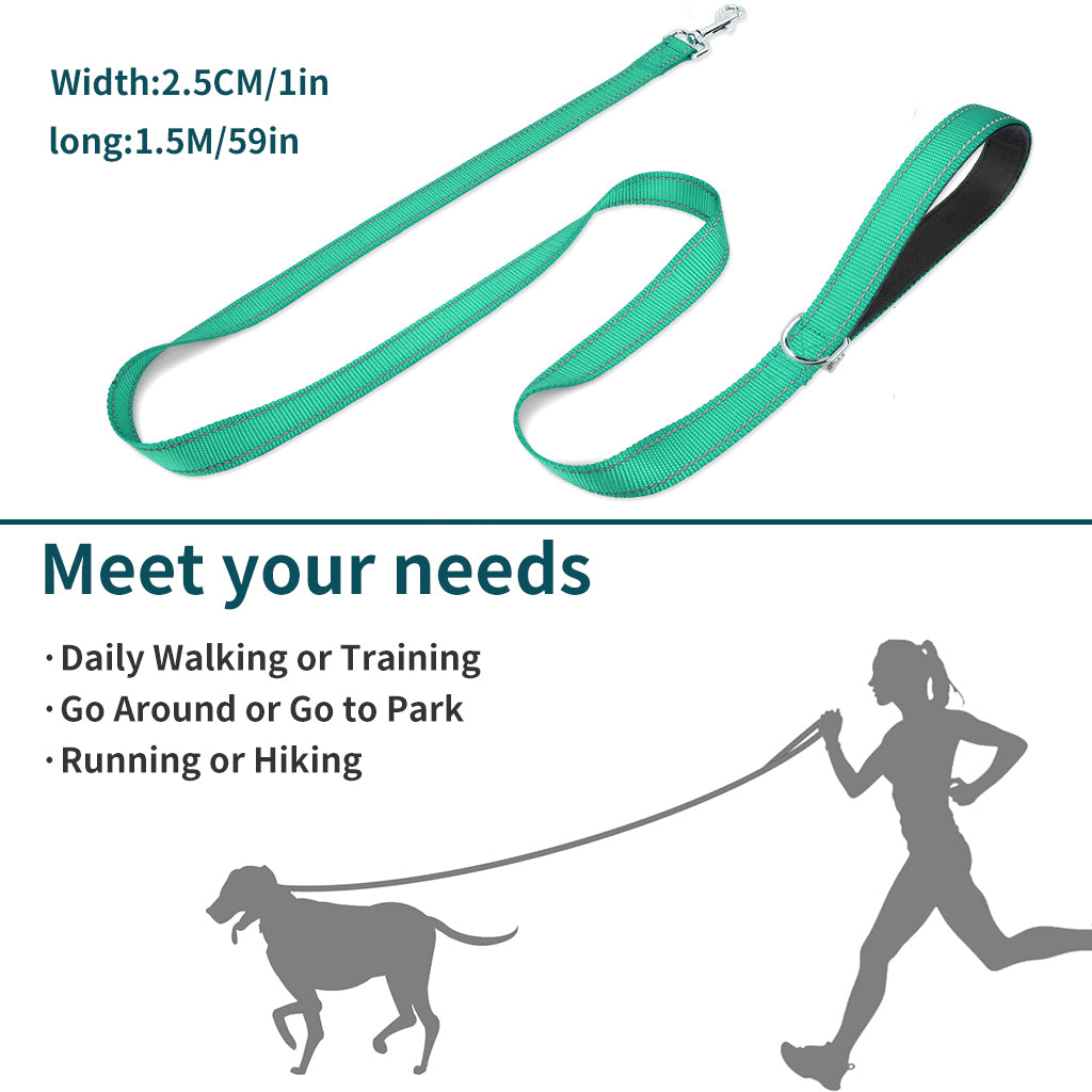 Reversible Reflective Dog Leash 5FT, Nylon Leash with Padded Handle for Walking, Training Leads for Medium, and Large Dogs, Available in Multiple Colors.