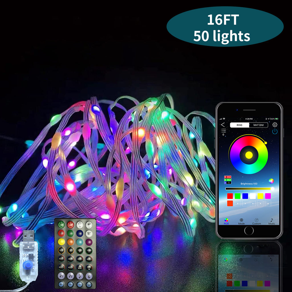 WS2812B Usb Led String Light Smart App Controller DIY Christmas