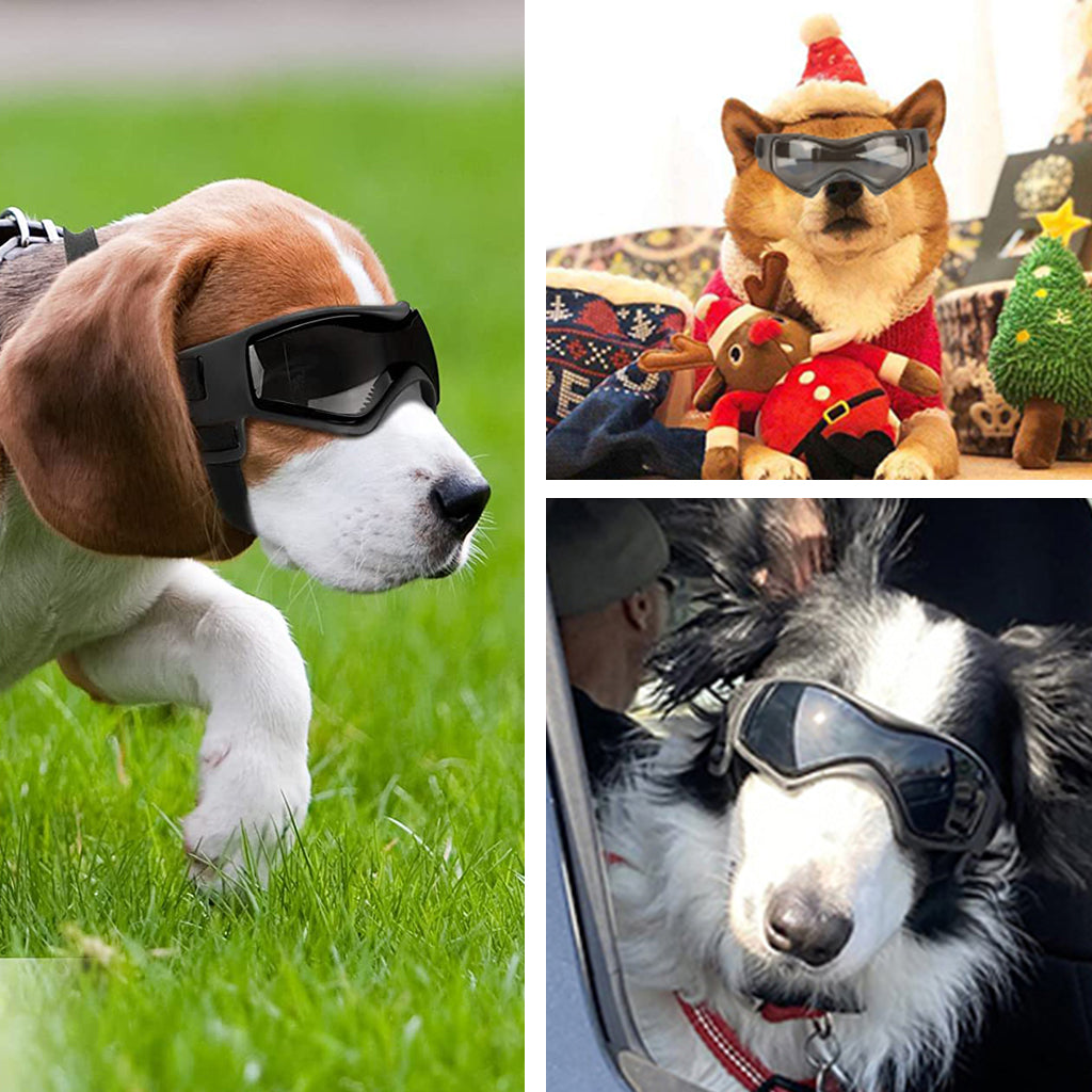 Puppy Goggles, Easy-to-Wear Puppy Sunglasses with Adjustable UV Protection: Waterproof, Windproof, Antifog Puppy Glasses for Small and Medium Dogs