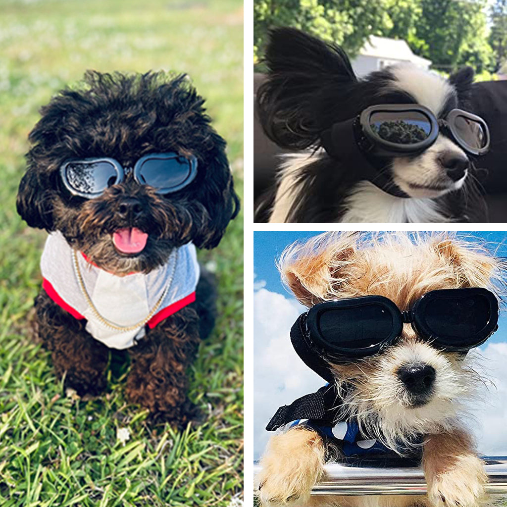 Puppy Goggles, Puppy Sunglasses, UV Protection Glasses, Anti-Fog Motorcycle Puppy Glasses