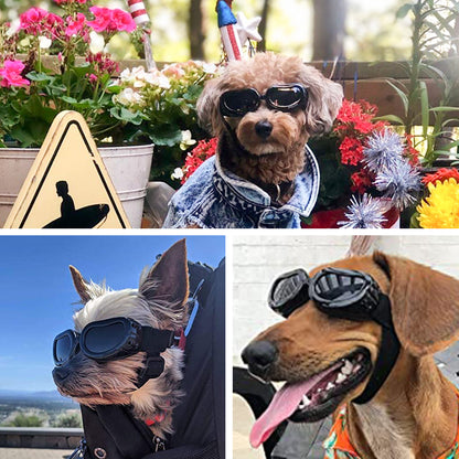 Puppy Goggles, Puppy Sunglasses, UV Protection Glasses, Anti-Fog Motorcycle Puppy Glasses